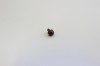 0201/08/060/5/37 -  Niete, Metall, 5 mm, messing/ braun